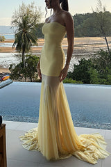 Heididress Strapless Tube Flare Mesh Maxi Party Dress